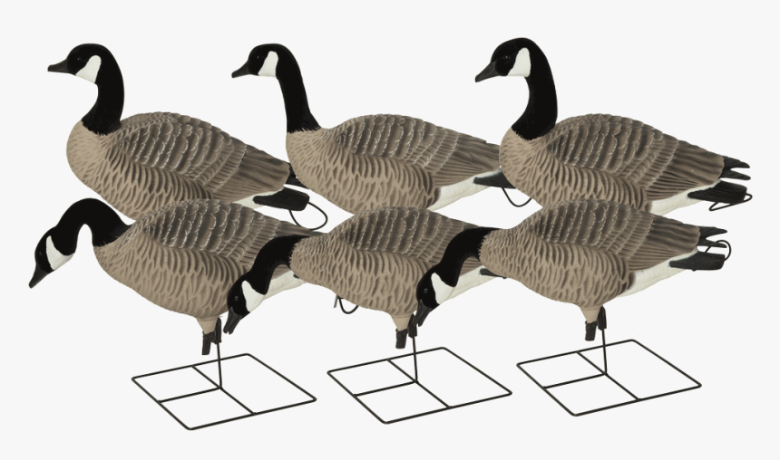 71586 Prograde Xdseries Honker Harvester - Avery Pro Grade Xd Canada Decoys, HD Png Download