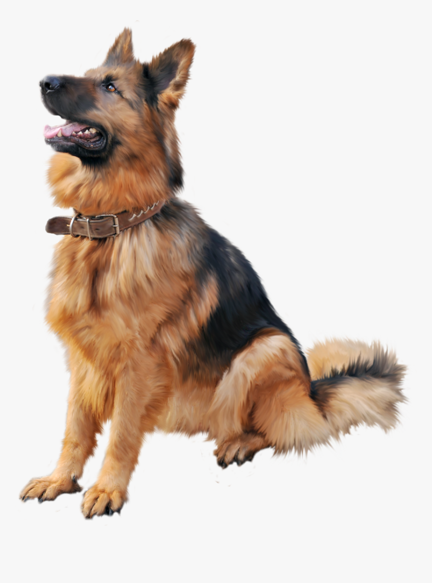 Training Shock Dog Cat Collar Cartoon Clipart - German Shepherd Dog Png, Transparent Png