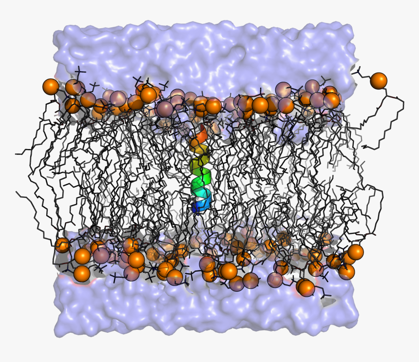 Gromacs Molecular Dynamics, HD Png Download