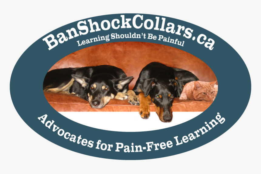 Pain Free Learning - Lana Del Rey Kinda Outta, HD Png Download