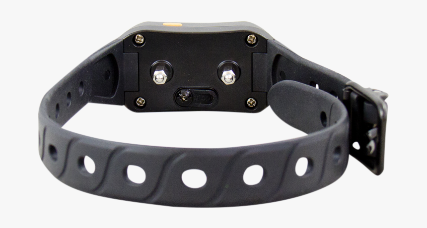 Best Dog Training Collarthe Dog Shock Collars Do Everything - Guard Dog, HD Png Download