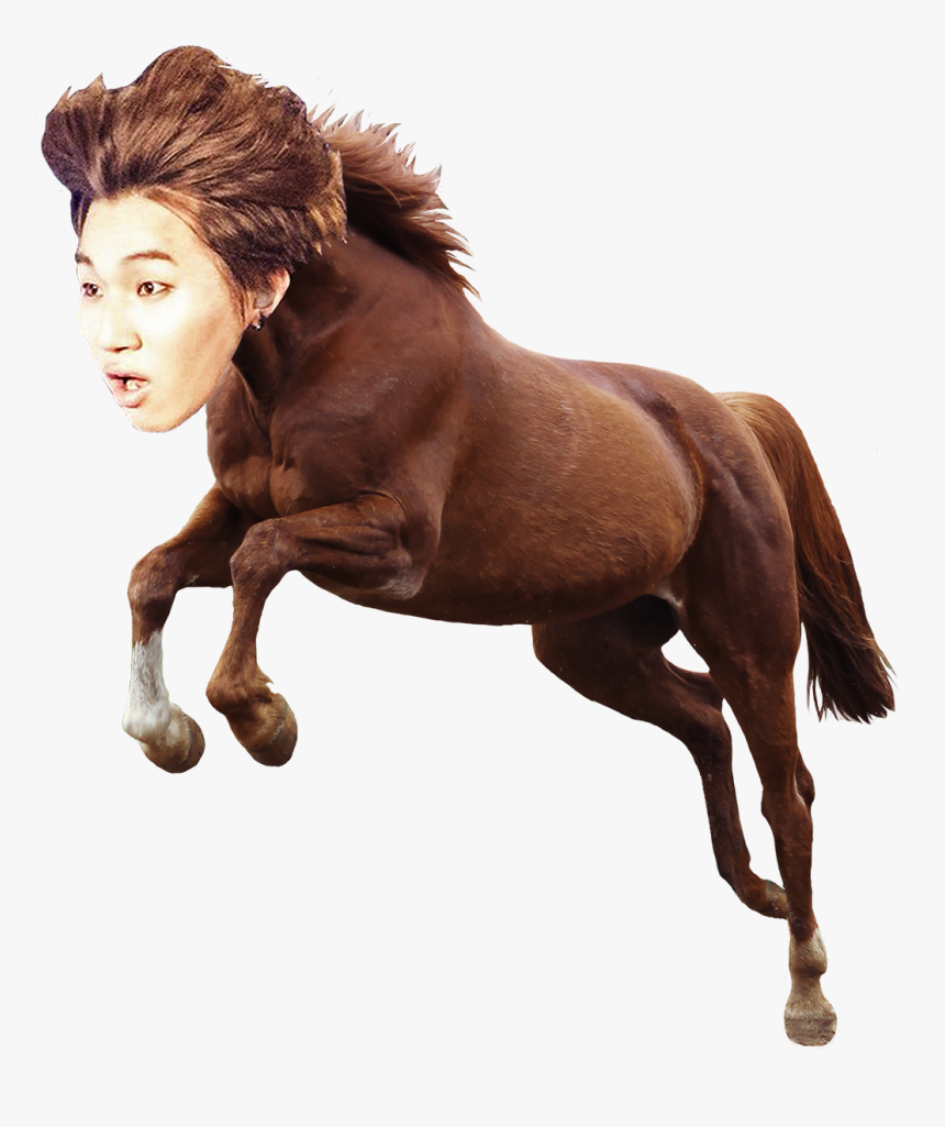 “horse Dae Transparent Png, Png Download