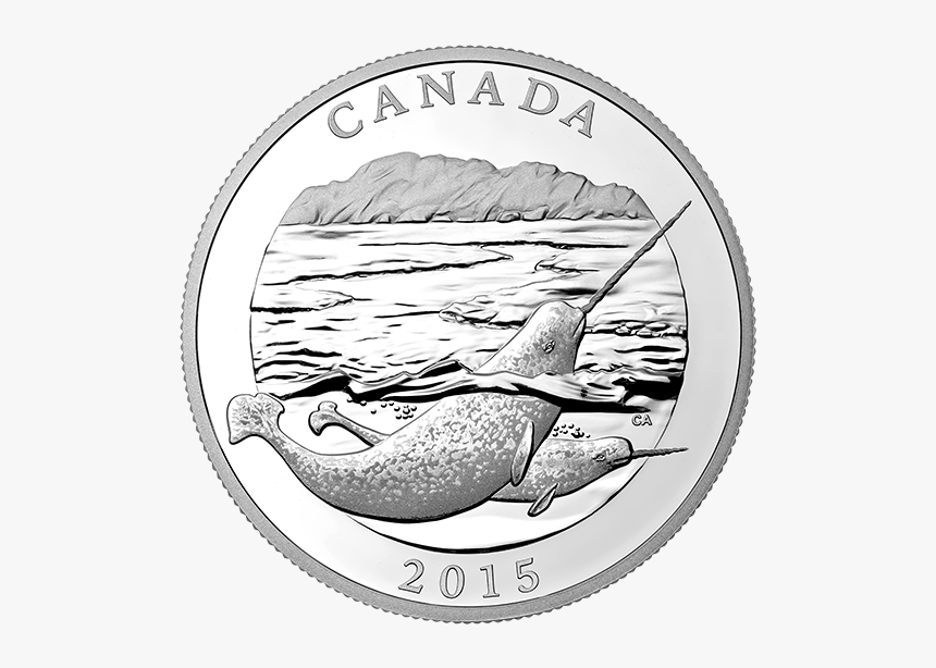 Canadian Narwhal, HD Png Download