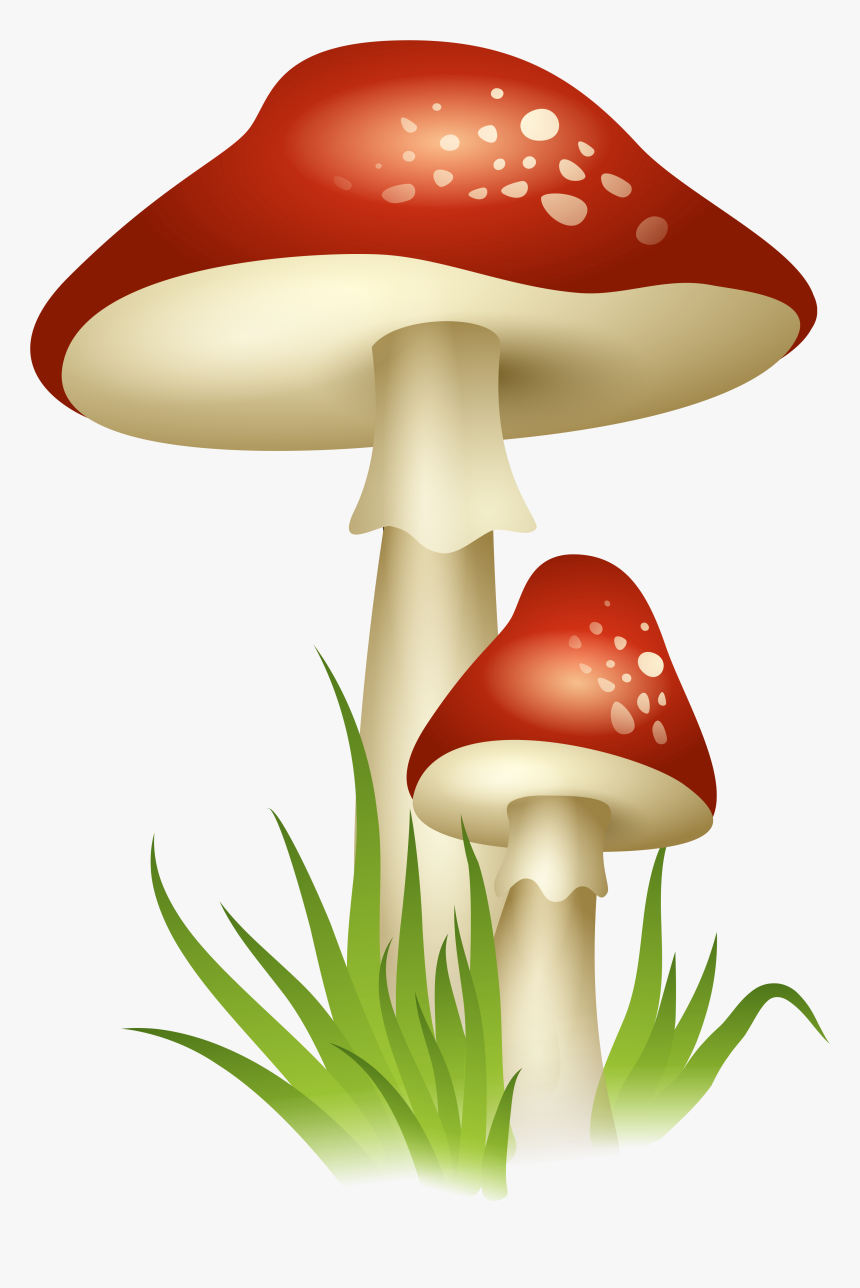 Mushroom Clipart Transparent, HD Png Download