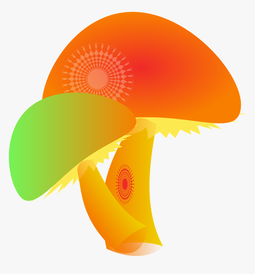 Mushroom, Fungi, Hallucinogenic, Plants, Drugs - Dibujos Chidos De Corazon Con Jeringa Inyectado, HD Png Download