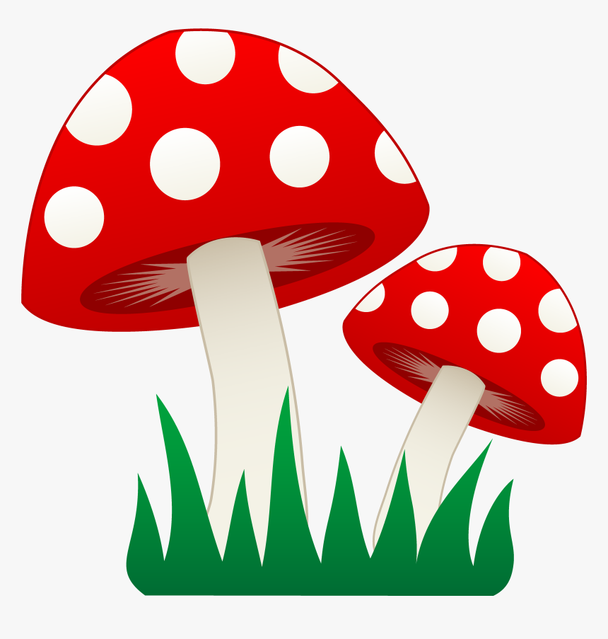 Mushroom Clipart Transparent - Mushrooms Clipart, HD Png Download