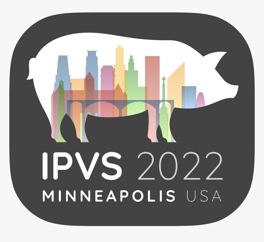 Ipvs 2022 - - Graphic Design, HD Png Download