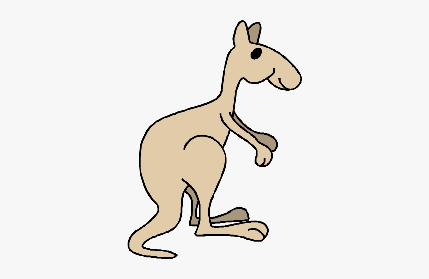 Cartoon Kangaroo Png Download - Kangaroo, Transparent Png