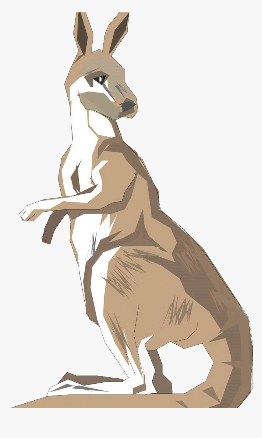 Standing Australia Kangaroo Back To See Drawing Clipart - 袋鼠, HD Png Download