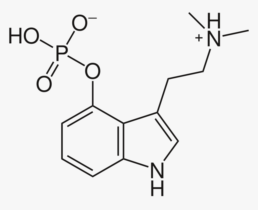Psilocybin Molecule, HD Png Download
