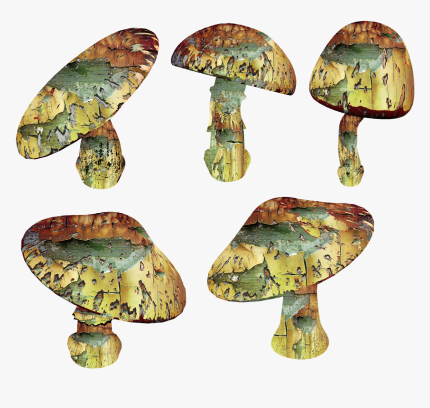 Trippy Mushroom Png - Shiitake, Transparent Png
