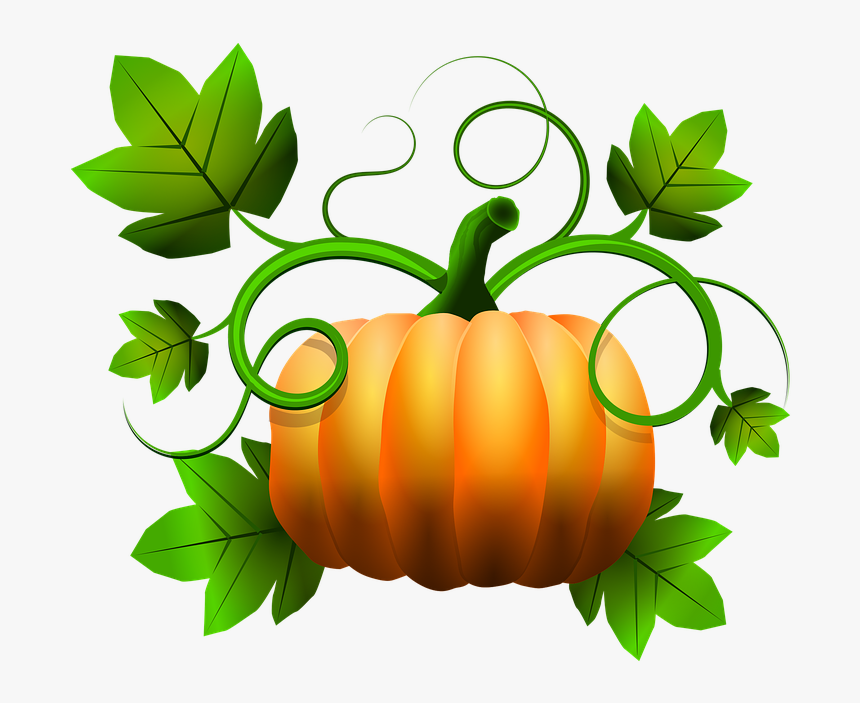 Transparent Squash Png Transparent Pumpkins Cartoon Png Png Download Transparent Png Image Pngitem