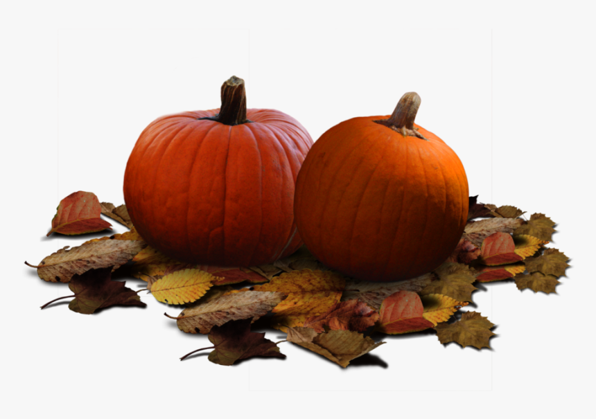 Leaf Clipart Pumpkin - Real Pumpkin Png, Transparent Png