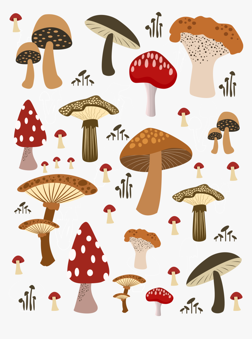 Mushrooms Vector Button Mushroom - Mushroom Illustration, HD Png Download