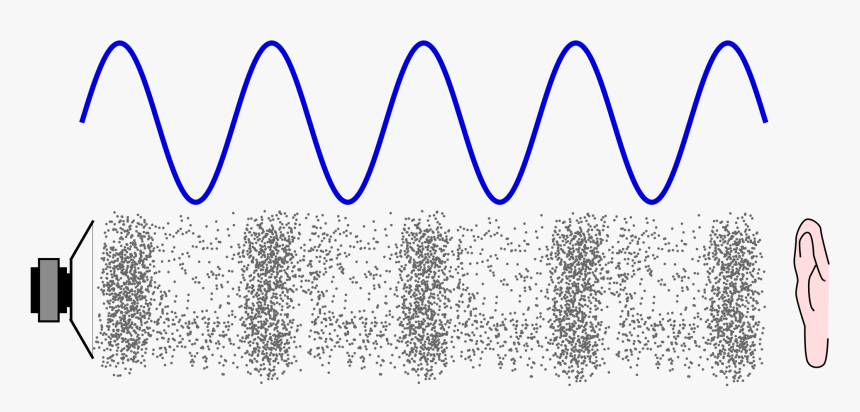 Transparent Sound Waves Png - Sound Waves We Can T Hear, Png Download