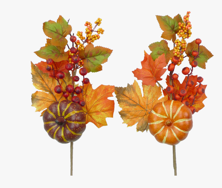 17 - Grape, HD Png Download