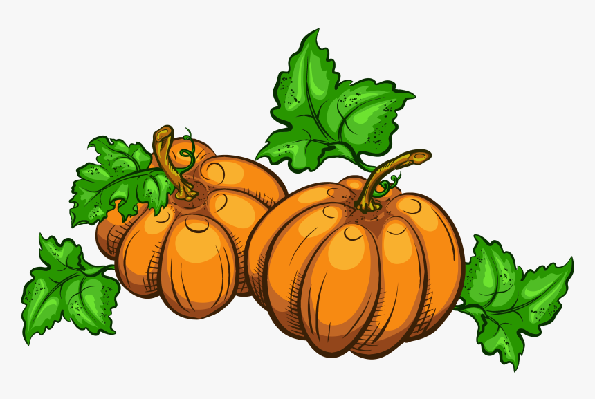 Gourd - Transparent Background Pumpkin Clipart, HD Png Download