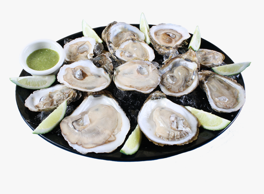 Transparent Caldo 7 Mares Png - Tiostrea Chilensis, Png Download