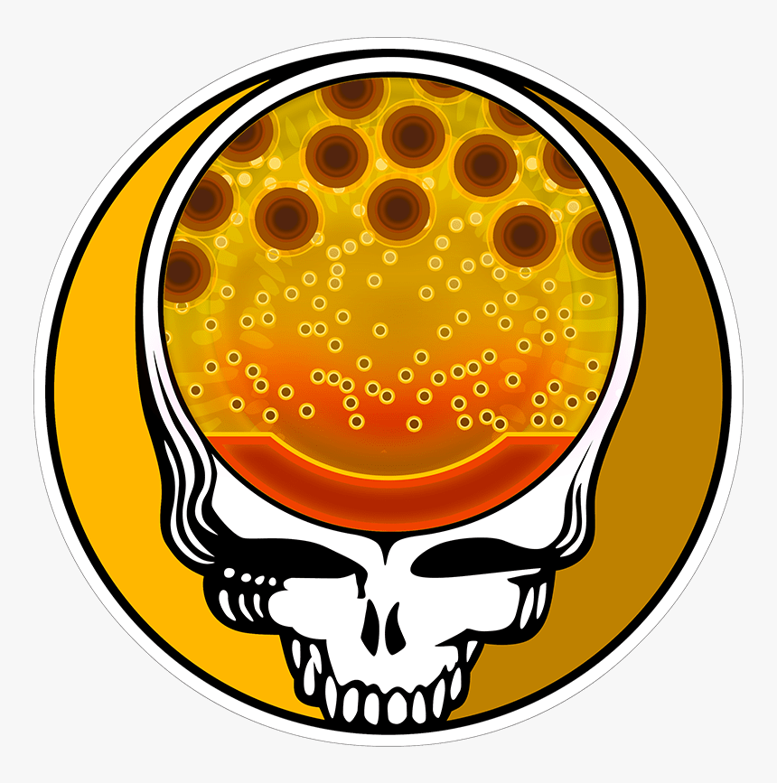 Transparent Steal Your Face Png - Black Steal Your Face, Png Download