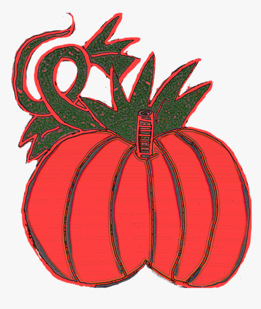 Chubby Pumpkins With Vine To Left And Large Leaf To - Illustration, HD Png Download
