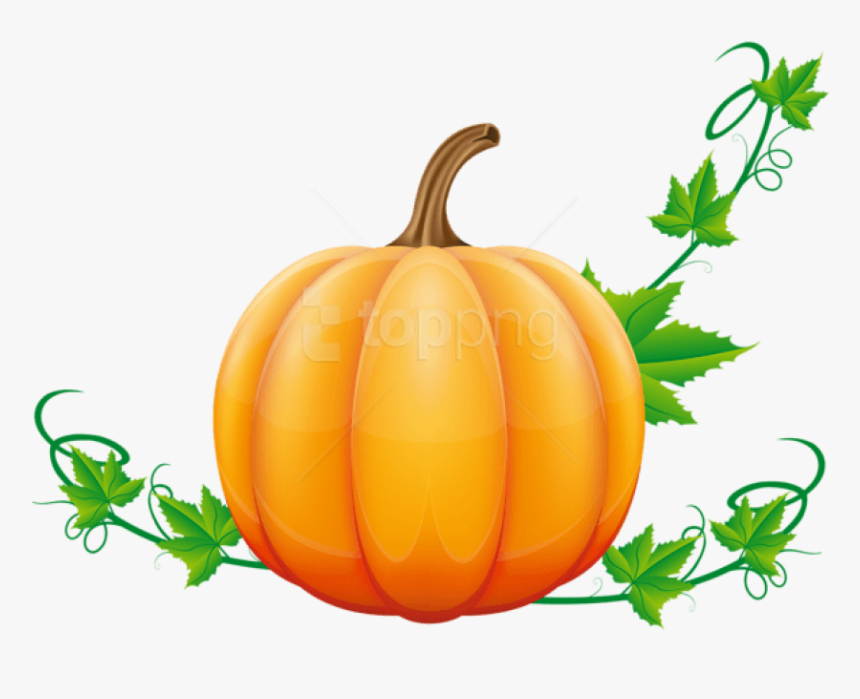 Foods,clip Food,produce - Pumpkin Png, Transparent Png