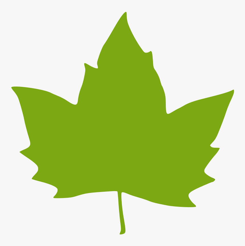 Green Leaves Clipart Clip Art Green - Clip Art Pumpkin Leaves, HD Png