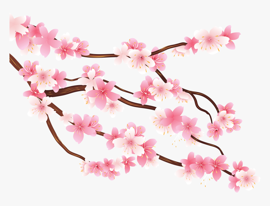Free Png Pink Spring Branch Png Images Transparent - Cherry Blossom Art Png, Png Download