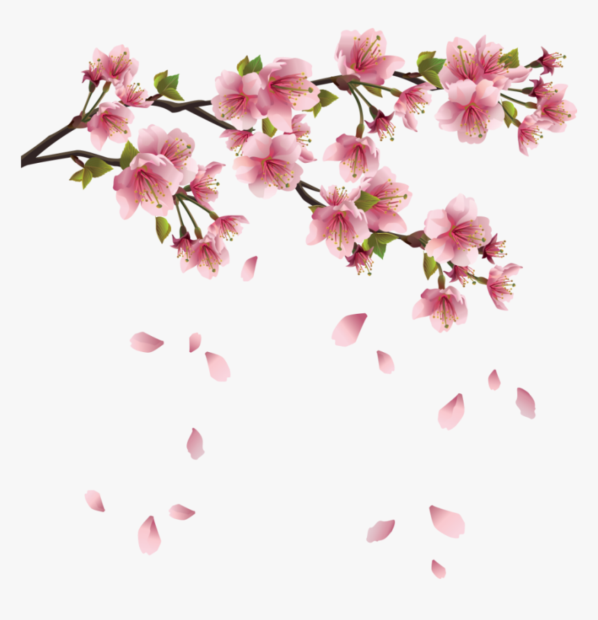 Cherry Blossoms Png - Transparent Sakura Flower Png, Png Download