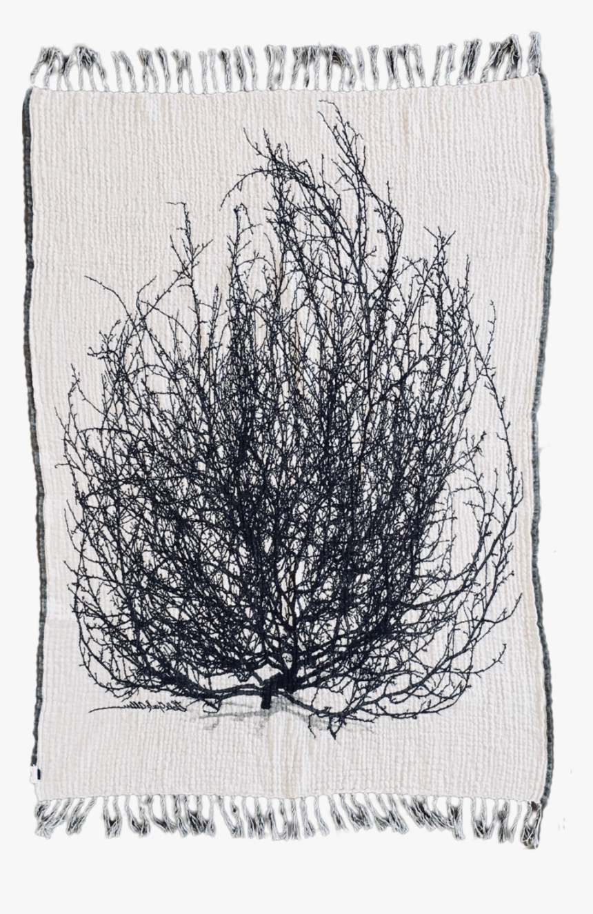 Tumbleweed Textiles - Thread - Tumbleweed Png, Transparent Png