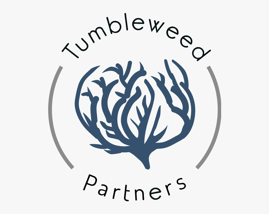 Tumbleweed - Illustration - Illustration, HD Png Download