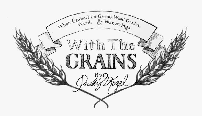 Transparent Film Grain Png - Illustration, Png Download