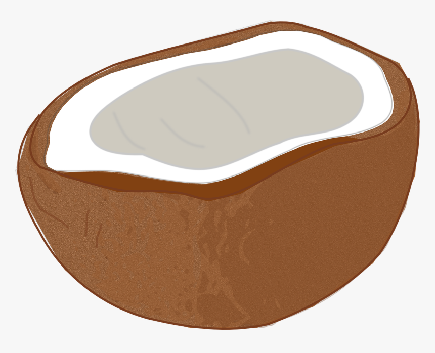 Free Coconut Clip Art, HD Png Download