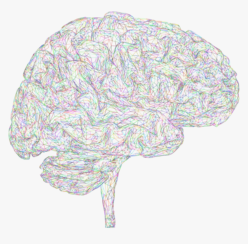 Brain, 3d, Thought, Mind, Mental, Think, Psychology, - Cerebro 3d Png, Transparent Png
