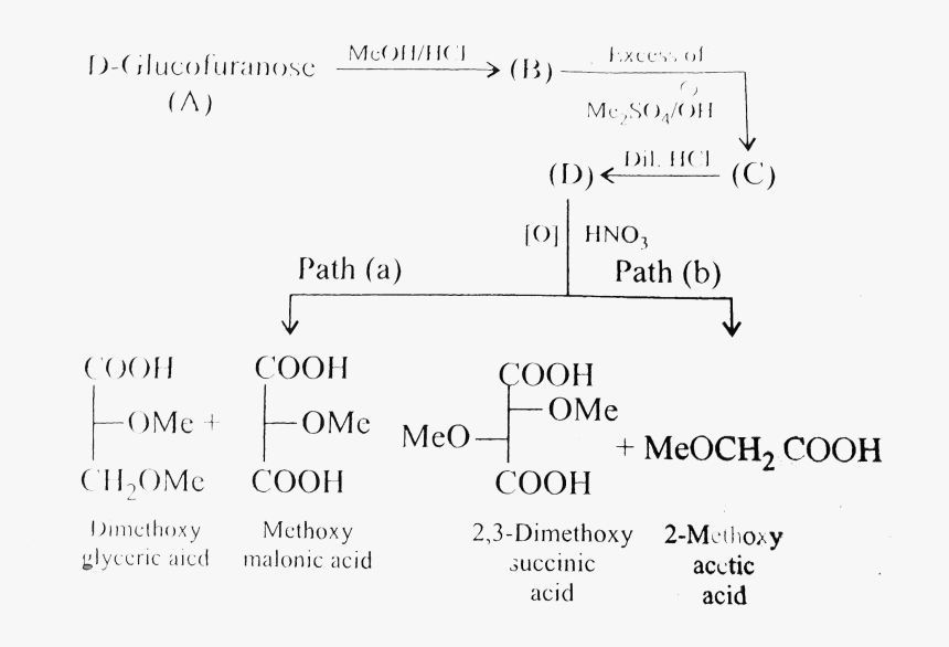 Number, HD Png Download