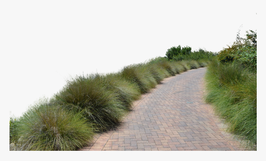 Go To Image - Transparent Dirt Road Png, Png Download