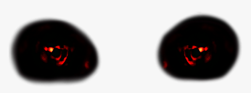 #eyes #horror #evil #scary #blood #red #horroreyes - Insect, HD Png Download