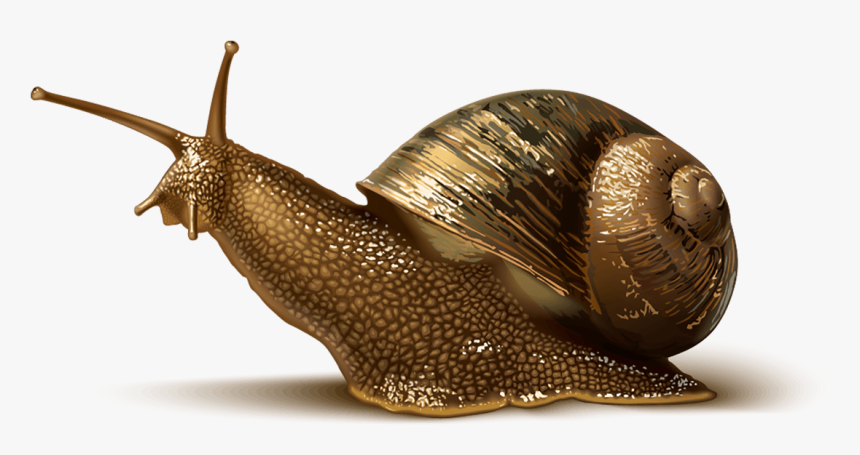 Transparent Metal Slug Png - 4 Pic 1 Word 22, Png Download