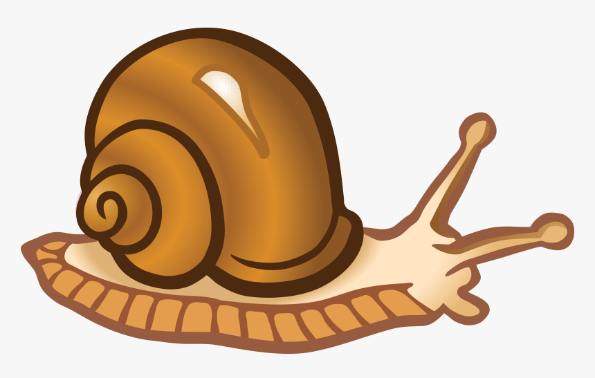 Snail Clip Art - Transparent Background Snail Clipart, HD Png Download