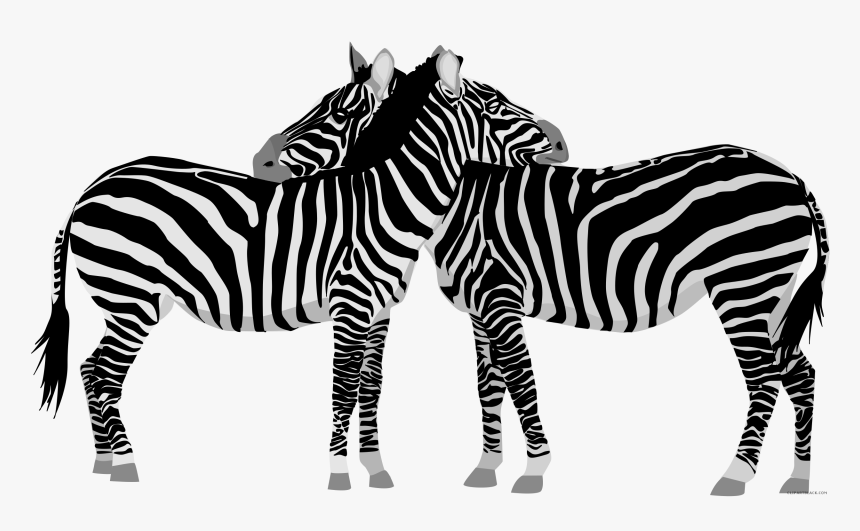 Clipart - Clipart Zebras, HD Png Download