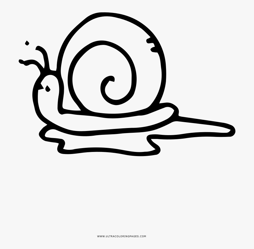 Snails - Snail - Snail, HD Png Download