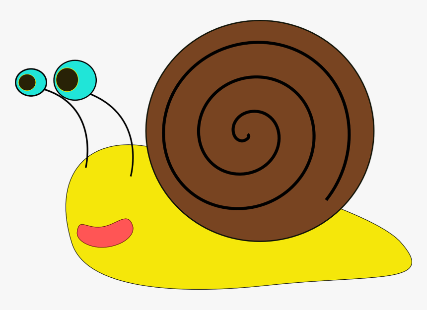 Snail - Snail Clip Art, HD Png Download
