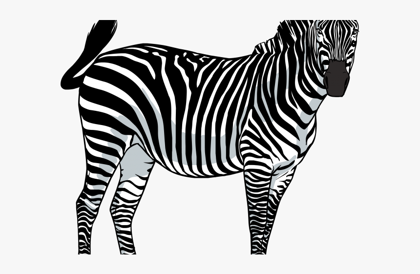 Zebra Png Transparent Images - Png Zebra, Png Download
