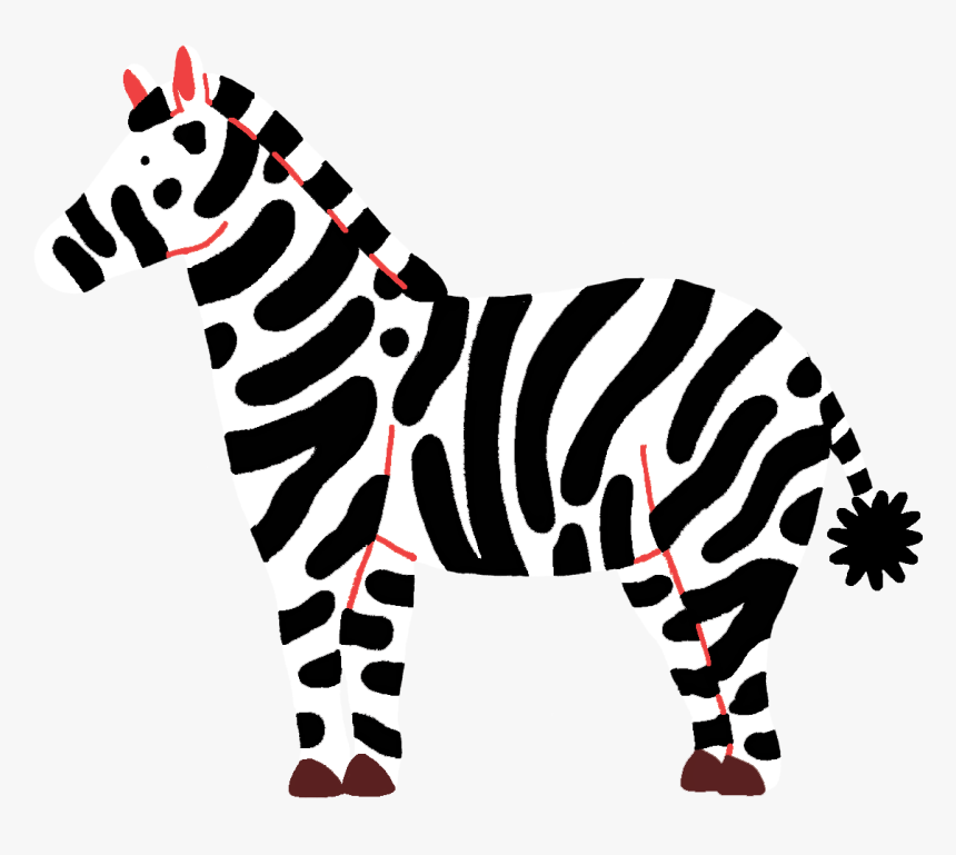 Zebra , Png Download - Zebra, Transparent Png