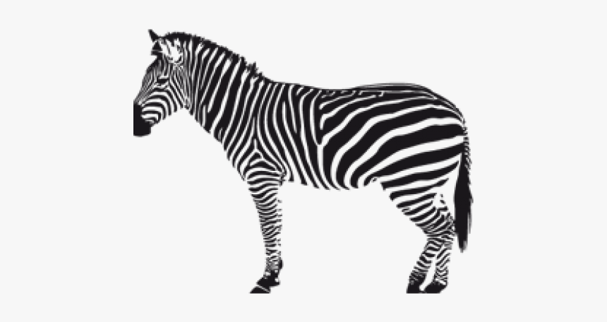 Zebra Png Transparent Images - Zebra Silhouette Png, Png Download