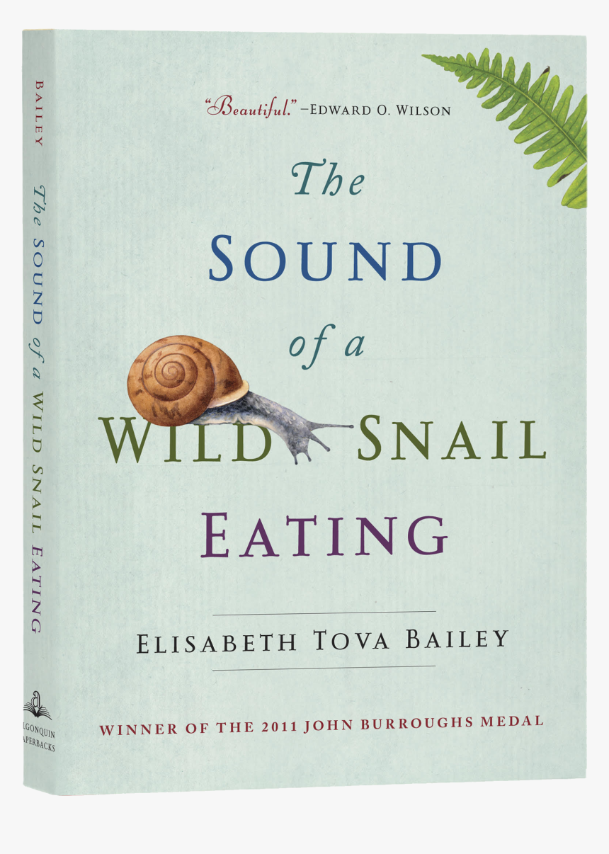 Sea Snail, HD Png Download