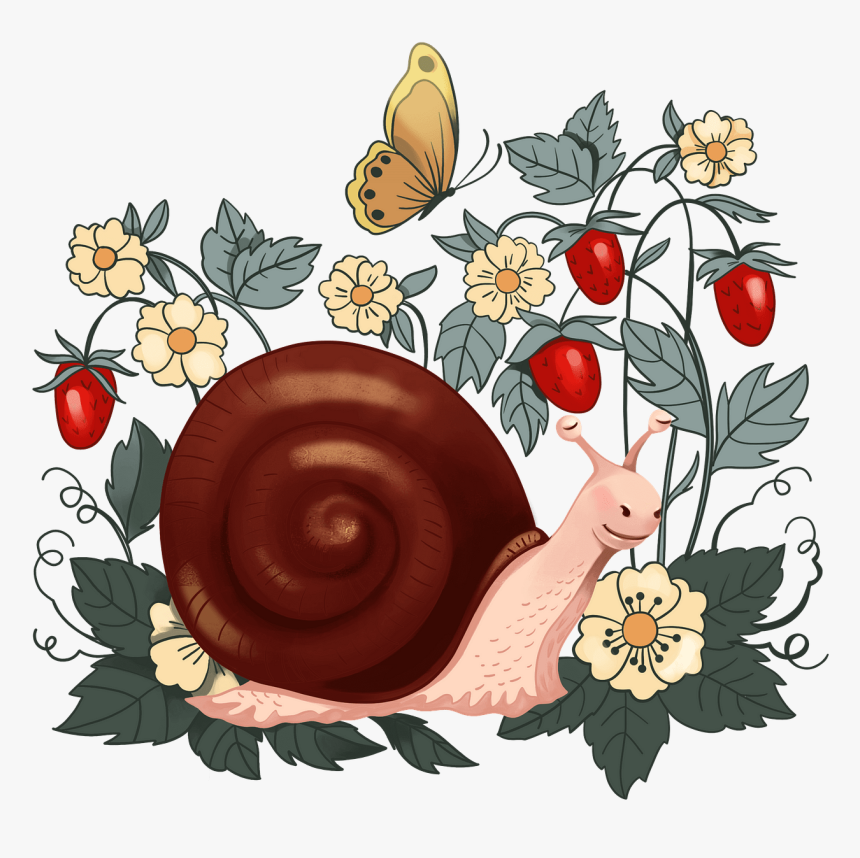 Snail, HD Png Download