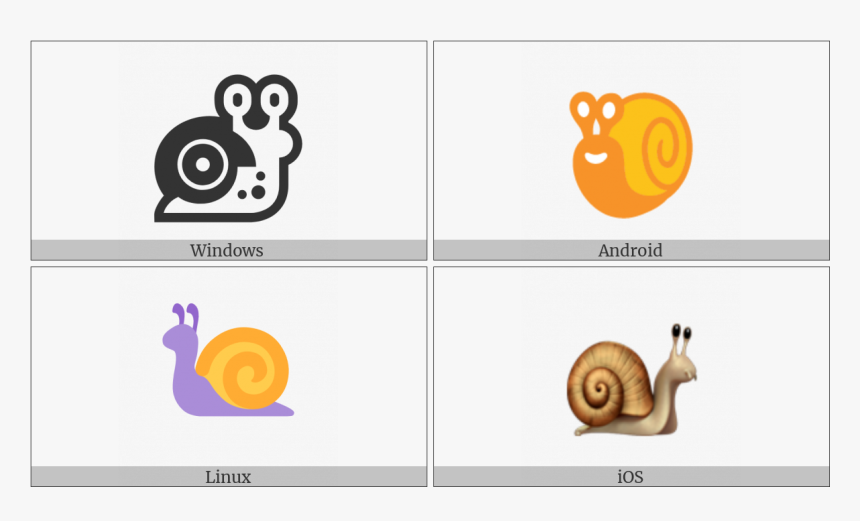 Snail On Various Operating Systems - Lymnaeidae, HD Png Download