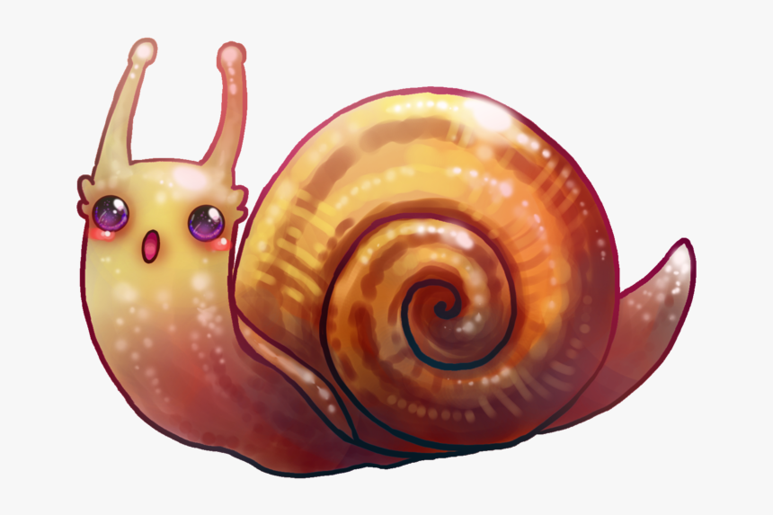 Shrimp - Kawaii Snail, HD Png Download
