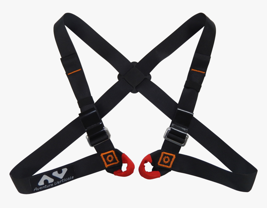 Chest-harness Ropes Course, Tree Climbing » Wise - Arch Enemy Logo Tattoo, HD Png Download