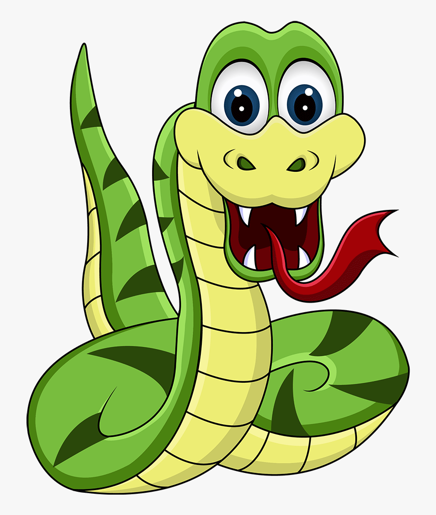 Ohmygawd, We Ve Found A Snake Now What Do - Cartoon Snake, HD Png Download